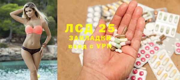 ПСИЛОЦИБИНОВЫЕ ГРИБЫ Инта