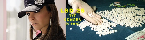 ешки Инсар
