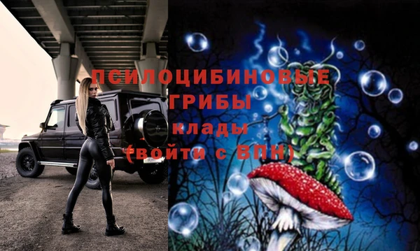 ешки Инсар