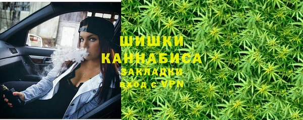 ПСИЛОЦИБИНОВЫЕ ГРИБЫ Инта