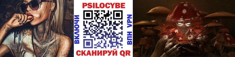 Псилоцибиновые грибы Psilocybe  Истра 