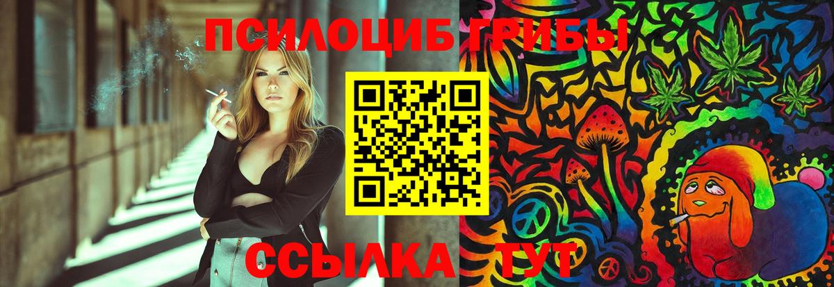 Истра  Псилоцибиновые грибы Magic Shrooms  Вход с VPN 
